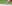 iStock-1127755363